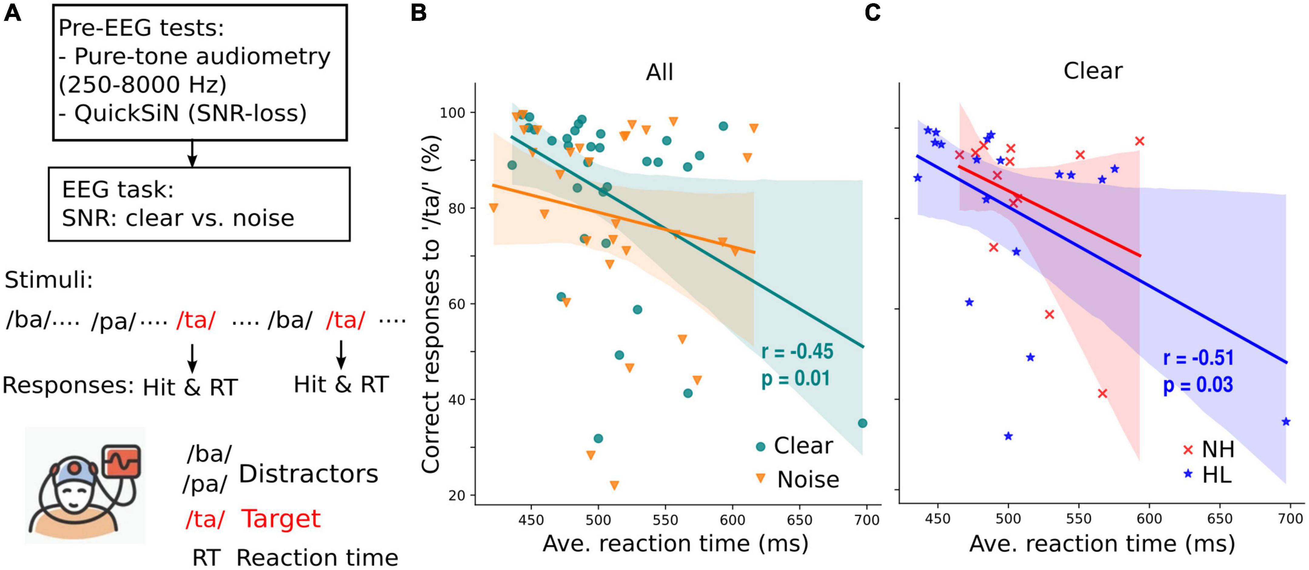 Cortical-brainstem interplay during speech perception in older adults with and without hearing loss